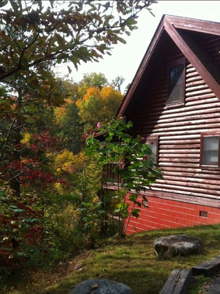 side of cabin (early fall)