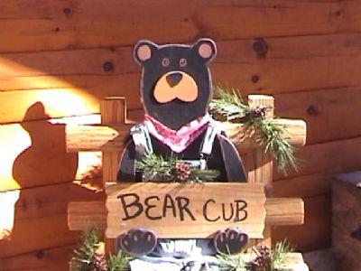 Bear Cub Welcome Bear
