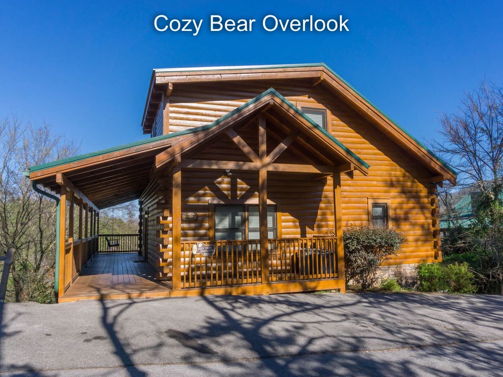 Welcome to Cozy Bear Overlook