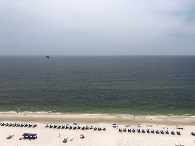 835 feet of beautiful white sandy beach with chase lounge and umbrella rental