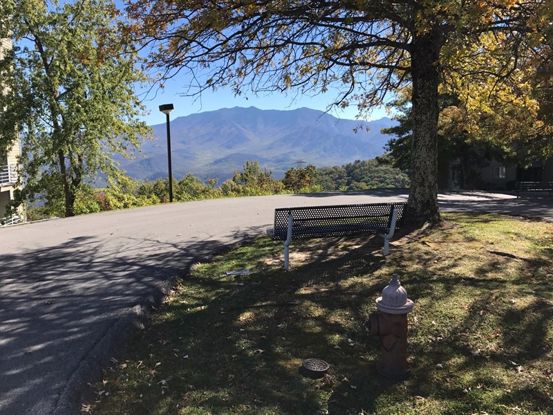 This bench enjoys a magnificent view of Mt. LeConte