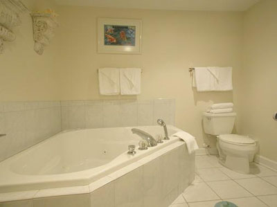 Master Bath Suite with jacuzzi & Walk in Shower