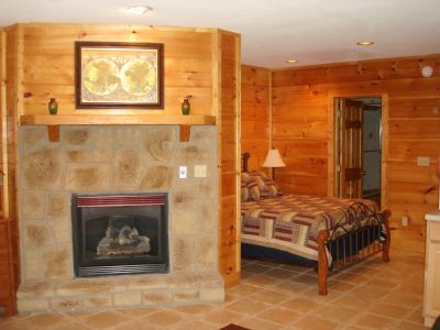 Lower Level / Fireplace