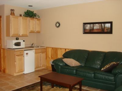 Lower Level Living Area w/Kitchenette