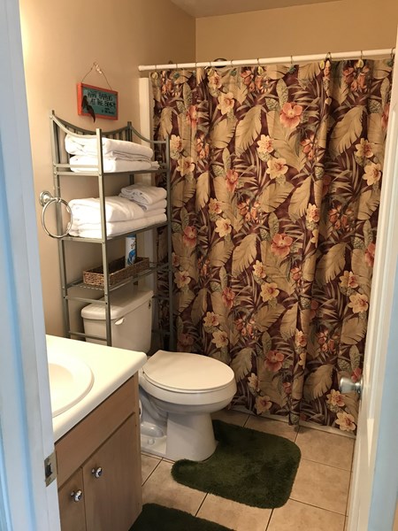 downstairs bathroom - shower/tub combo